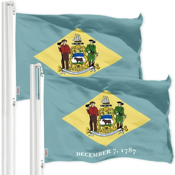 G128 2 Pack: Delaware DE State Flag | 3x5 Ft | Printed 300D Polyester - Indoor/Outdoor, Vibrant Colors, Brass Grommets, Quality Polyester