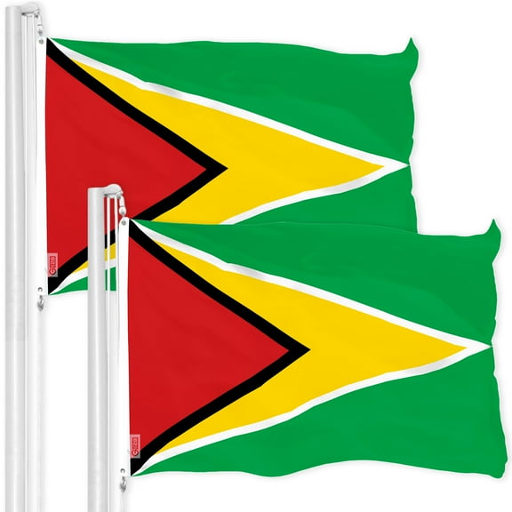 G128 2 Pack: Guyana Guyanese Flag | 3x5 Ft | LiteWeave Pro Series Printed 150D Polyester | Country Flag, Indoor/Outdoor, Vibrant Colors, Brass Grommets, Thicker and More Durable Than 100D 75D Poly