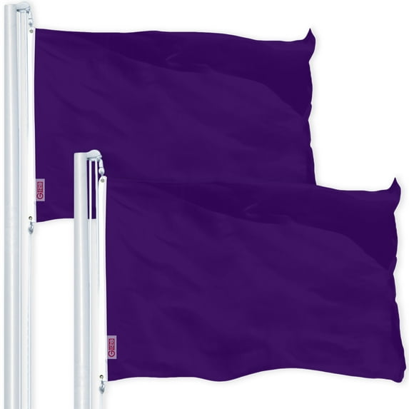 G128 2 Pack: Solid Purple Color Flag | 4x6 Ft | LiteWeave Pro Series Printed 150D Polyester | Indoor/Outdoor, Vibrant Colors, Brass Grommets