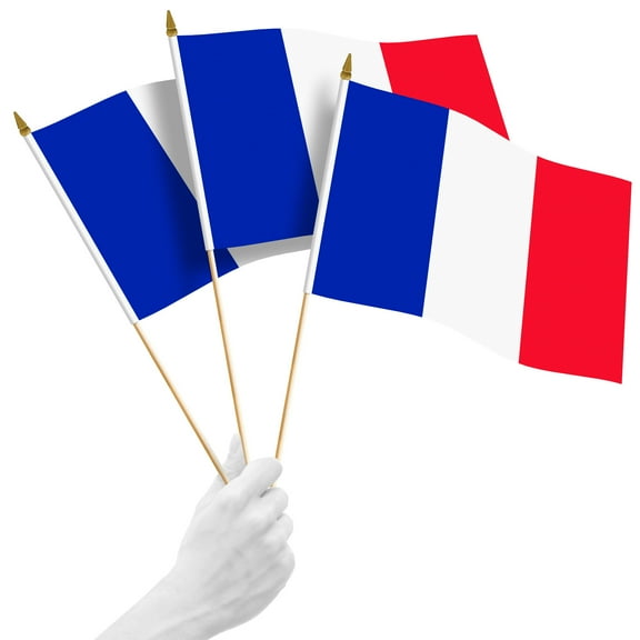 G128 24 Pack Handheld France French Stick Flags | 12x18 In | Printed 150D Polyester, Country Flag, Solid Wooden Stick, Spear Gold Tip