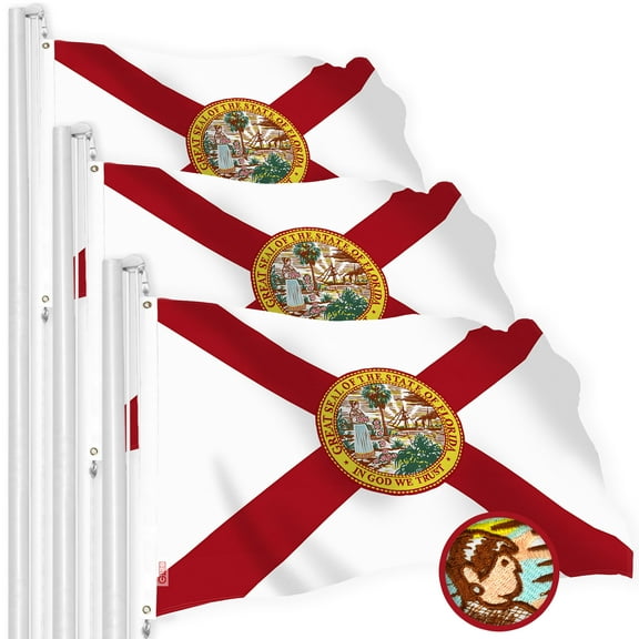 G128 3 Pack: Florida FL State Flag | 2x3 Ft | StormFlyer Series Embroidered 220GSM Spun Polyester | Embroidered Design, Indoor/Outdoor, Brass Grommets, Heavy Duty, All Weather