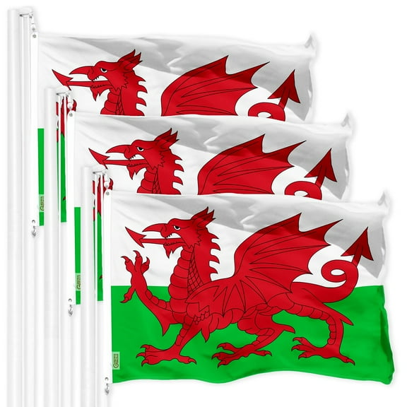 G128 3 Pack: Wales Welsh Flag | 3x5 Ft | LiteWeave Pro Series Printed 150D Polyester | Country Flag, Indoor/Outdoor, Vibrant Colors, Brass Grommets, Thicker and More Durable Than 100D 75D Polyester