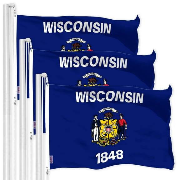 G128 3 Pack: Wisconsin WI State Flag | 3x5 Ft | LiteWeave Pro Series Printed 300D Polyester | Indoor/Outdoor, Vibrant Colors, Brass Grommets, Thicker and More Durable Than 100D 75D Polyester