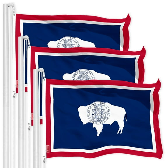 G128 3 Pack: Wyoming WY State Flag | 3x5 Ft | LiteWeave Pro Series Printed 150D Polyester | Indoor/Outdoor, Vibrant Colors, Brass Grommets, Thicker and More Durable Than 100D 75D Polyester