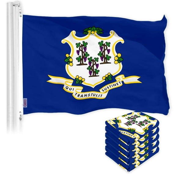 G128 5 Pack: Connecticut CT State Flag | 3x5 Ft | LiteWeave Pro Series Printed 150D Polyester | Indoor/Outdoor, Vibrant Colors, Brass Grommets, Thicker and More Durable Than 100D 75D Polyester
