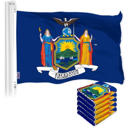G128 5 Pack: New York NY State Flag | 3x5 Ft | LiteWeave Pro Series Printed 300D Polyester | Indoor/Outdoor, Vibrant Colors, Brass Grommets, Thicker and More Durable Than 100D 75D Polyester price history and forecast - G128