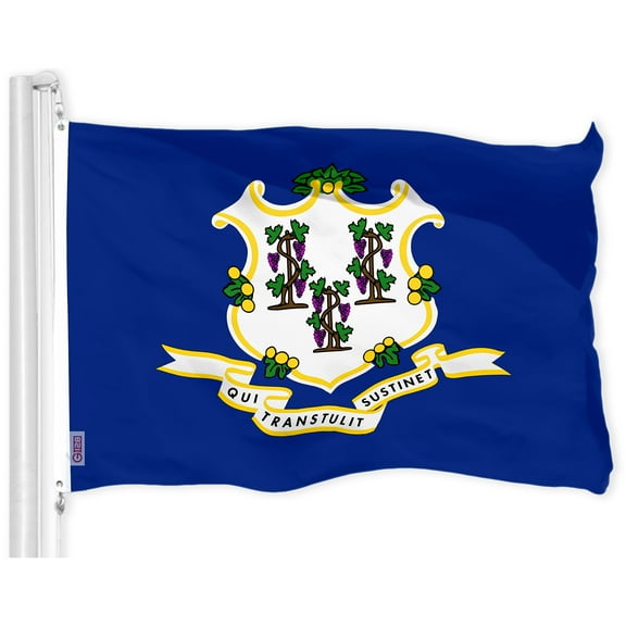 G128 Connecticut CT State Flag | 3x5 Ft | LiteWeave Pro Series Printed 150D Polyester | Indoor/Outdoor, Vibrant Colors, Brass Grommets, Thicker and More Durable Than 100D 75D Polyester