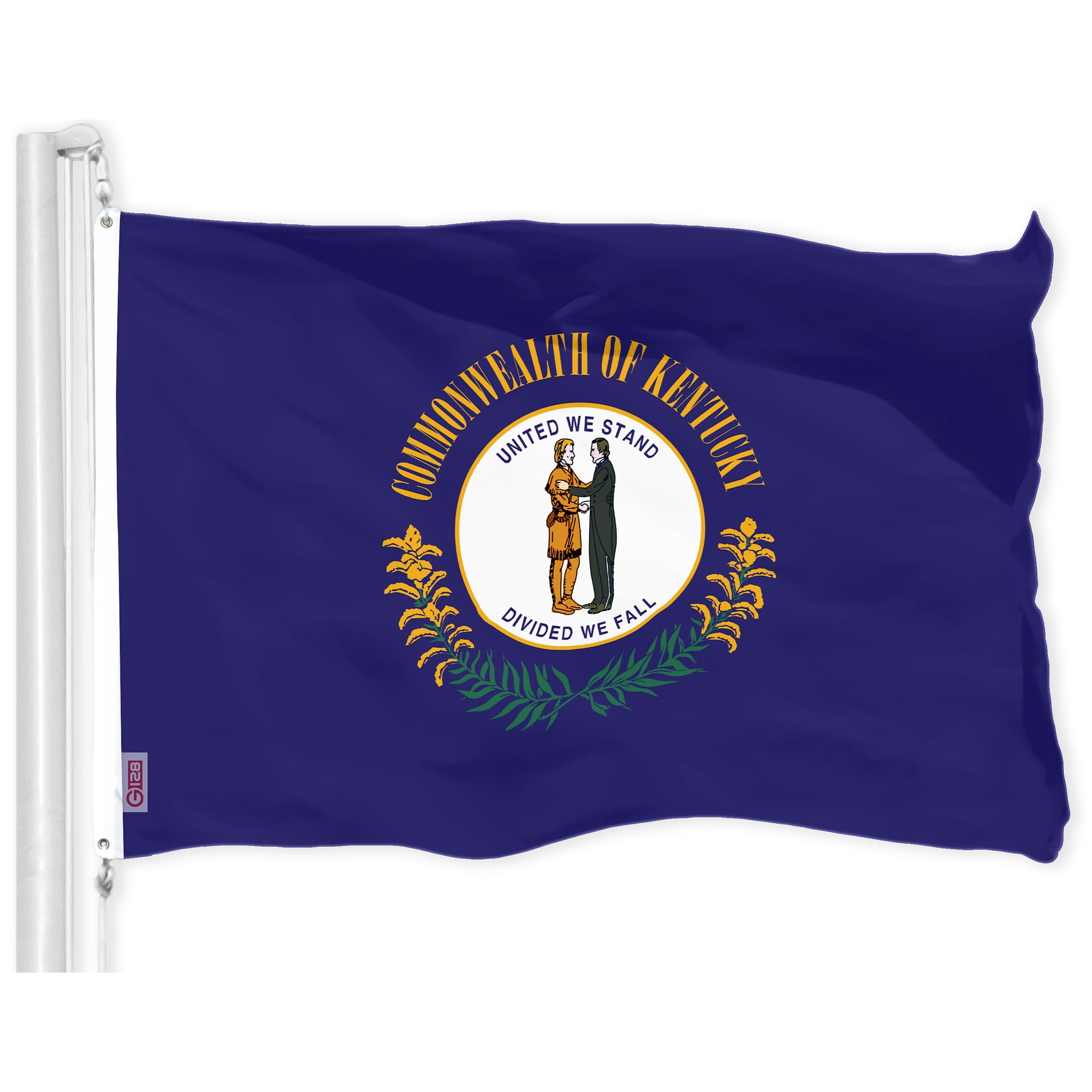 G128 Kentucky Flag, 3x5 Ft, 150D Polyester, Indoor/Outdoor, Brass ...