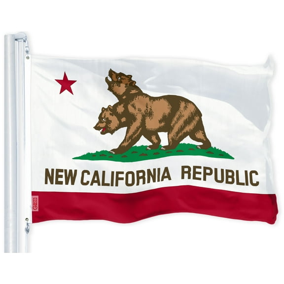G128 New California State Flag Double Head 3x5 ft Printed Brass Grommets 150D Quality Polyester Flag Indoor/Outdoor - Much Thicker and More Durable than 100D and 75D Polyester