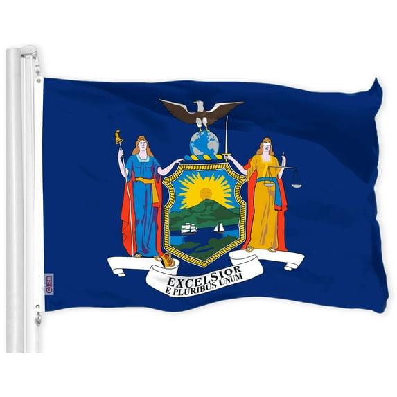 G128 New York NY State Flag | 3x5 Ft | LiteWeave Pro Series Printed 300D Polyester | Indoor/Outdoor, Vibrant Colors, Brass Grommets, Thicker and More Durable Than 100D 75D Polyester