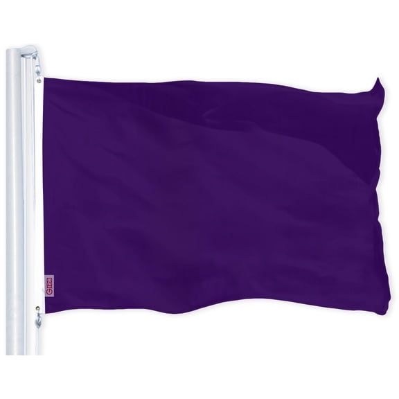 G128 Solid Purple Color Flag | 2x3 Ft | LiteWeave Pro Series Printed 150D Polyester | Indoor/Outdoor, Vibrant Colors, Brass Grommets, Thicker and More Durable Than 100D 75D Polyester