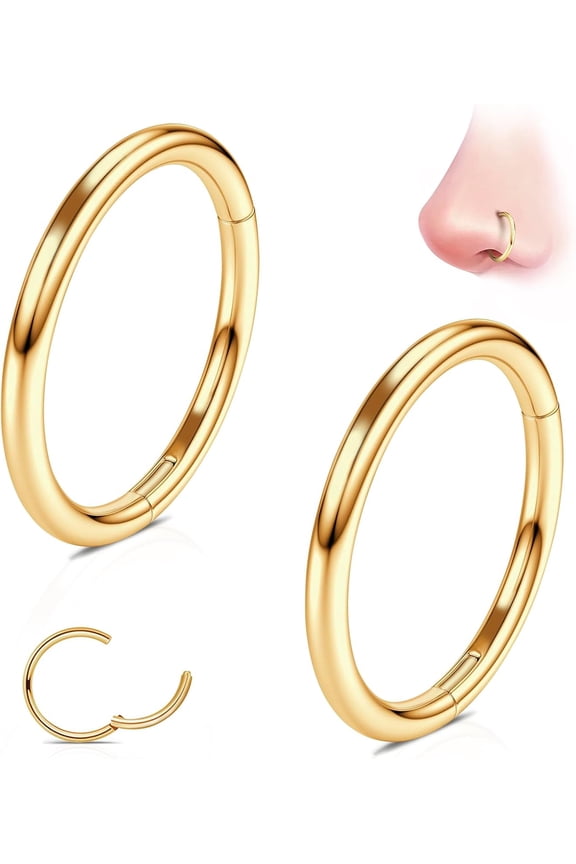 G23 Titanium Nose Rings Hoops: 2Pcs 20G 18G 16G Seamless Nose Hoop 6mm 7mm 8mm 9mm 10mm Septum Rings Hypoallergenic Lip Rings Cartilage Helix Daith Conch Tragus Rook Belly Button Piercing Jewelry