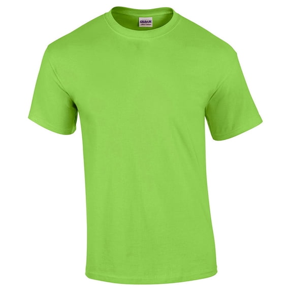 G5000 Heavy Cotton Adult T-Shirt -Mint Green-X-Large