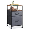 GALAXHERO 2 Drawer File Cabinets, Mobile Printer Stand with Storage ...