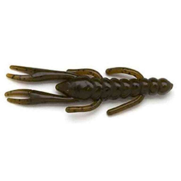  Gambler Lures BB Cricket Bait-Pack of 12 (Gold Rush, 3-Inch) :  Artificial Fishing Bait : Sports & Outdoors