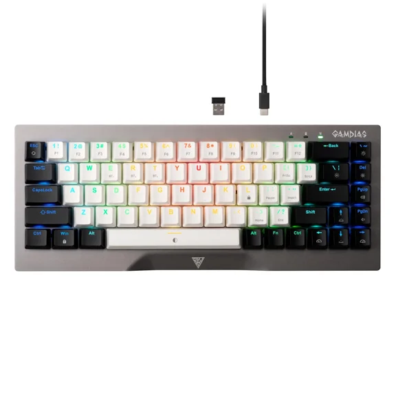 GAMDIAS GDHERMES Hermes M4 Hybrid RGB Mechanical Gaming Keyboard