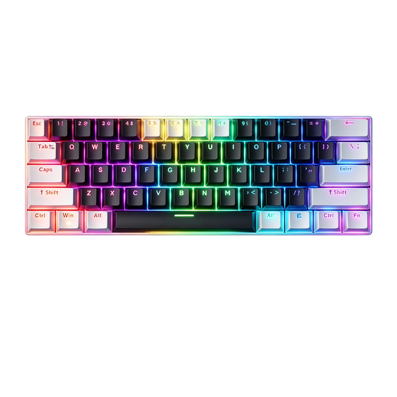 GAMINJA 60% Gaming Keyboard, 61 Keys Hot Swappable Mechanical Keyboard with 17 RGB Backlight Modes, 21 Keys Anti-Ghosting Compact Mini Keyboard for Windows Mac PC Gamers(White&Black)