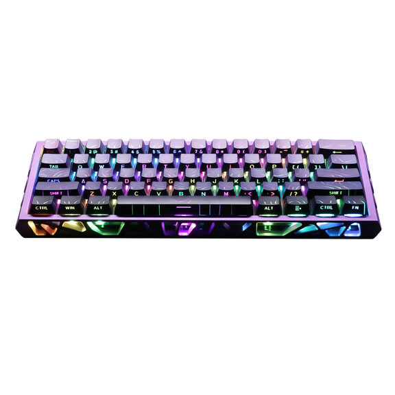 GAMINJA Mechanical Gaming Keyboard,Ultra Compact 60% Form Factor,61 Key Hot Swappable Mechanical Gaming Keyboard,RGB Backlit,Compatible with Windows Laptops, PC and Mac(Purple&Black)