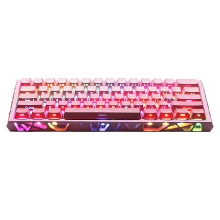 GAMINJA Mechanical Gaming Keyboard,Ultra Compact 60% Form Factor,61 Key Hot Swappable Mechanical Gaming Keyboard,RGB Backlit,Compatible with Windows Laptops, PC and Mac