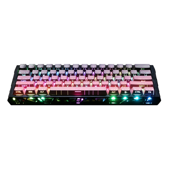 GAMINJA Mechanical Gaming Keyboard,Ultra Compact 60% Form Factor,61 Key Hot Swappable Mechanical Gaming Keyboard,RGB Backlit,Compatible with Windows Laptops, PC and Mac(Black&Pink)