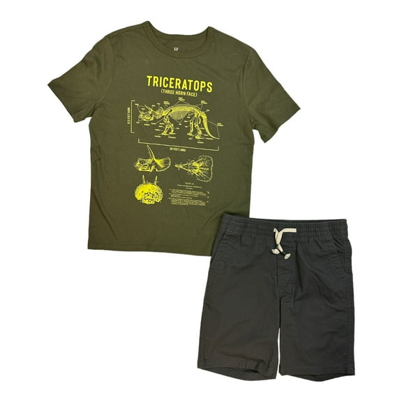 GAP Boy's 2-Piece Short Sleeve T-Shirt & Shorts Outfit Set (Olive/Grey, 14/16)