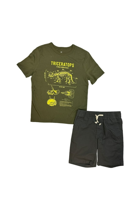Boy's 2-Piece Short Sleeve T-Shirt & Shorts Outfit Set (Olive/Grey, 14/16)