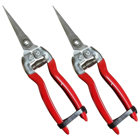 GARDEN GURU Straight Stainless Steel Pruner Pruning Shears Clippers Snips Sharp Bonsai Cutter Plant Trimming Scissor Straight Blade Garden Scissors Tool -Great for Roses Flowers Herbs Fruits (2 Pack)