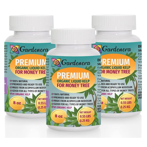 GARDENERA Organic Money Tree Elixir - 24 oz - Liquid Kelp Fertilizer for Enhancing Money Tree Beauty and Vitality