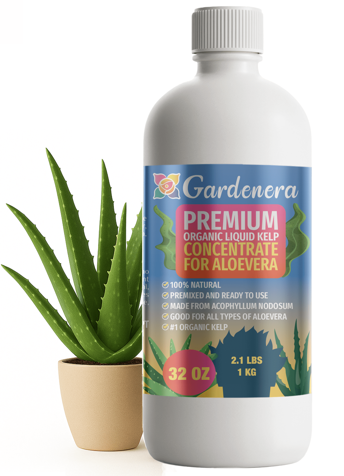 GARDENERA Premium Organic Seaweed & Kelp Superfood  for ALOE Plants - 32 oz - Liquid Kelp Fertilizer Concentrate (Makes 180  Gallons) - Walmart.com