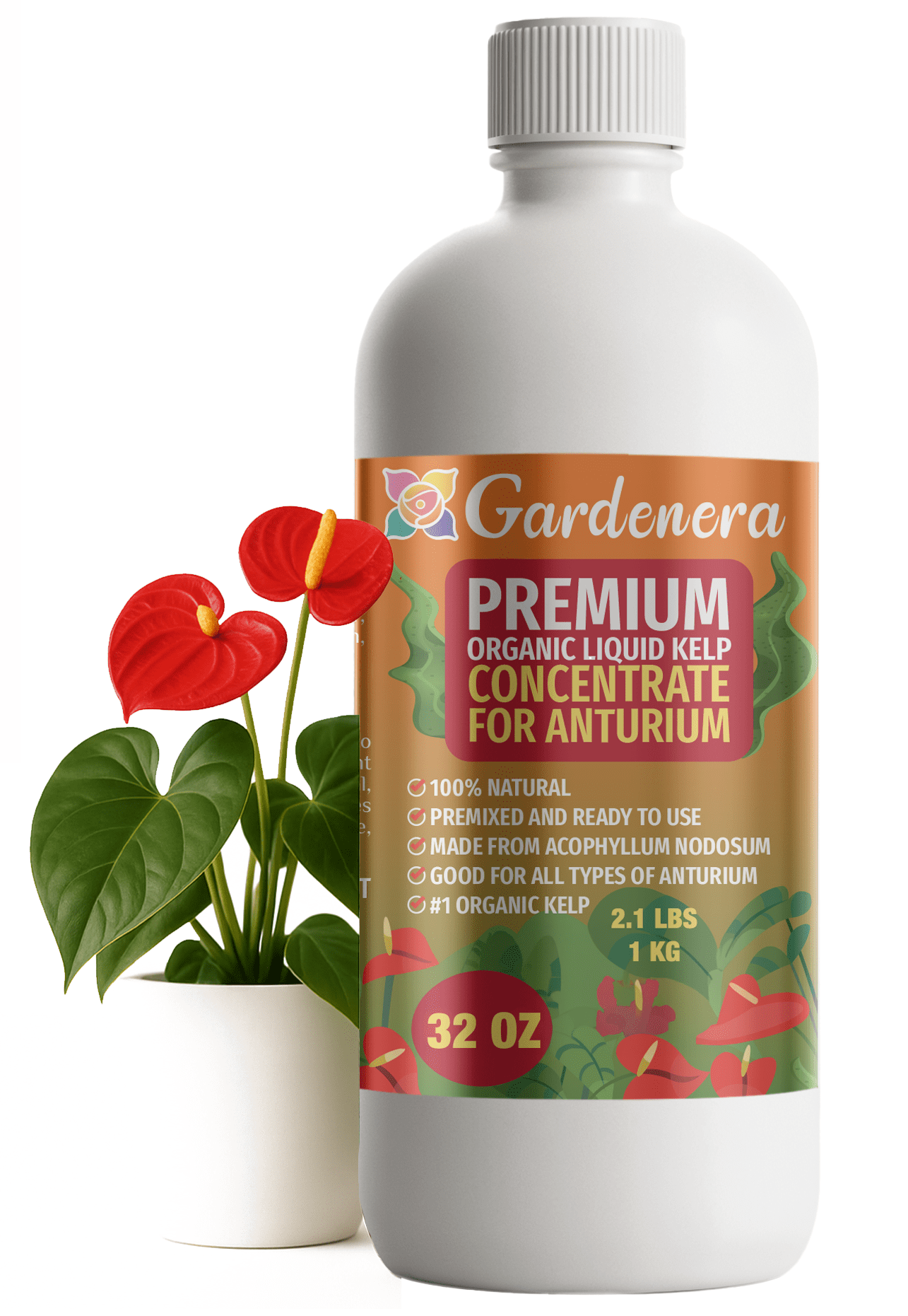 ⭐ 𝐁𝐄𝐒𝐓𝐒𝐄𝐋𝐋𝐄𝐑 GARDENERA Premium Organic Seaweed & Kelp Superfood for ANTHURIUM Plants - 32 oz - Liquid Kelp Fertilizer Concentrate (Makes 180 Gallons)