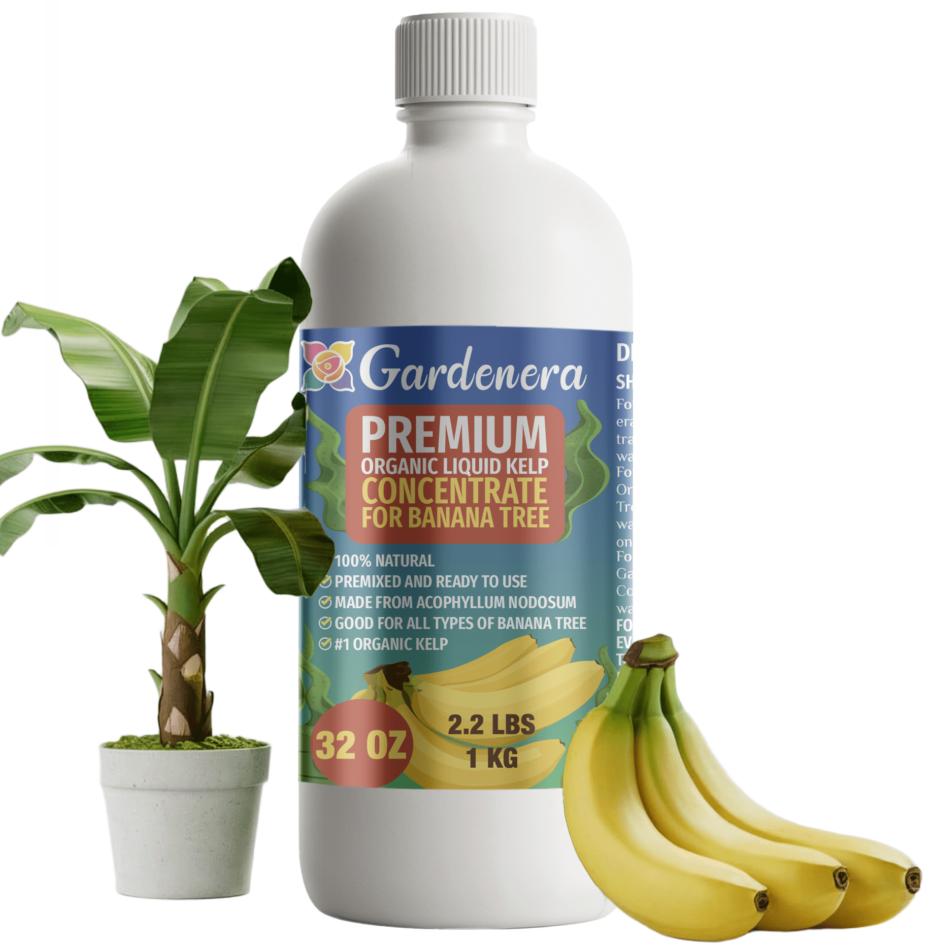 GARDENERA Premium Organic Seaweed & Kelp Superfood  for BANANA Trees - 32 oz - Liquid Kelp Fertilizer Concentrate (Makes 180  Gallons) - Walmart.com