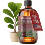 GARDENERA Premium Organic Seaweed & Kelp Superfood for FIDDLE LEAF FIG Plants - 8 oz - Liquid Kelp Fertilizer Concentrate Makes 45 Gallons