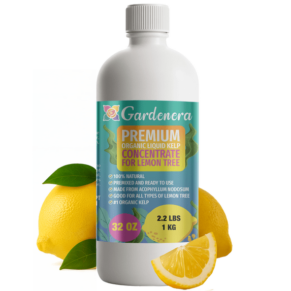 β ππππππππππ GARDENERA Premium Organic Seaweed & Kelp Superfood for LEMON Plants - 32 oz - Liquid Kelp Fertilizer Concentrate (Makes 180 Gallons)