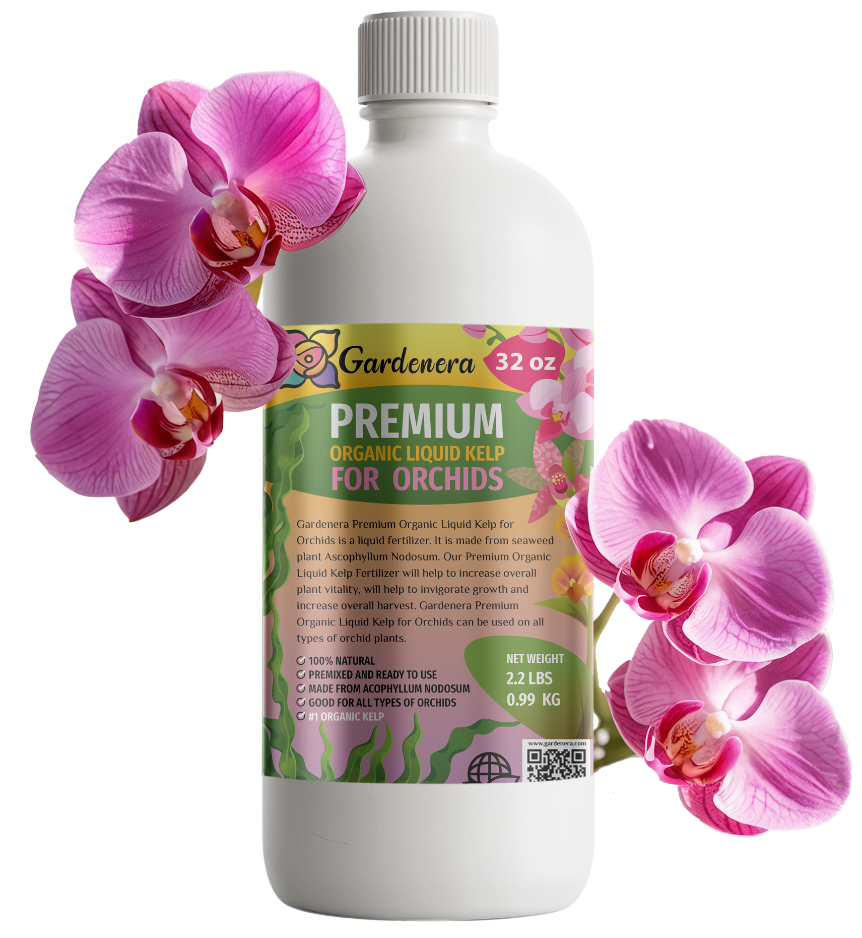 ⭐ 𝐁𝐄𝐒𝐓𝐒𝐄𝐋𝐋𝐄𝐑 GARDENERA Premium Organic Seaweed & Kelp Superfood for ORCHID Plants - 32 oz - Liquid Kelp Fertilizer Concentrate (Makes 180 Gallons)