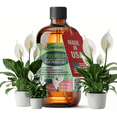 thumbnail image 1 of ⭐ 𝐁𝐄𝐒𝐓𝐒𝐄𝐋𝐋𝐄𝐑 GARDENERA Premium Organic Seaweed & Kelp Superfood for PEACE LILY Plants - 8 oz - Liquid Kelp Fertilizer Concentrate (Makes 45 Gallons), 1 of 6