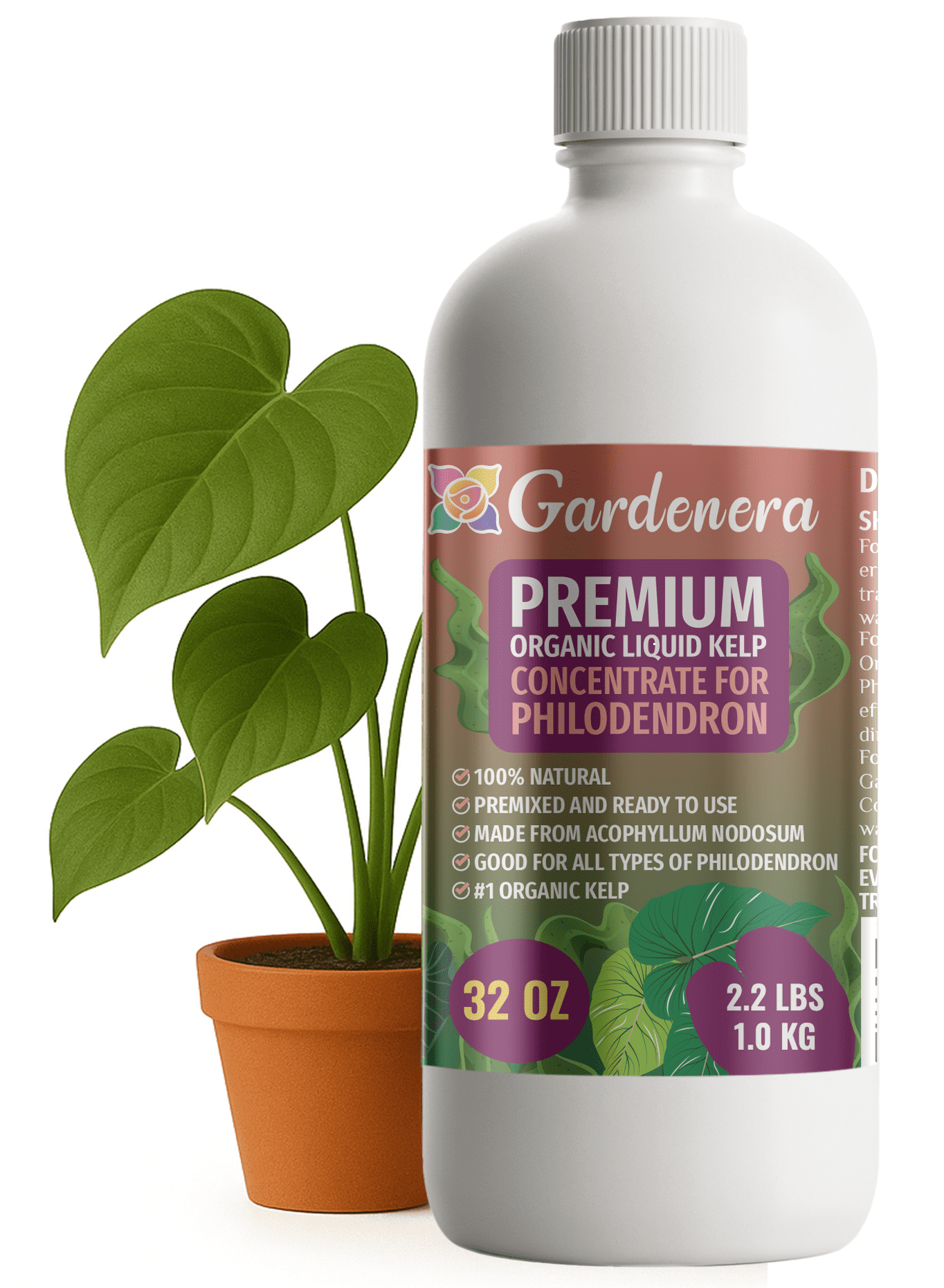 golden pothos plant in water Golden Pothos (High Variegation) – mj.cultivates