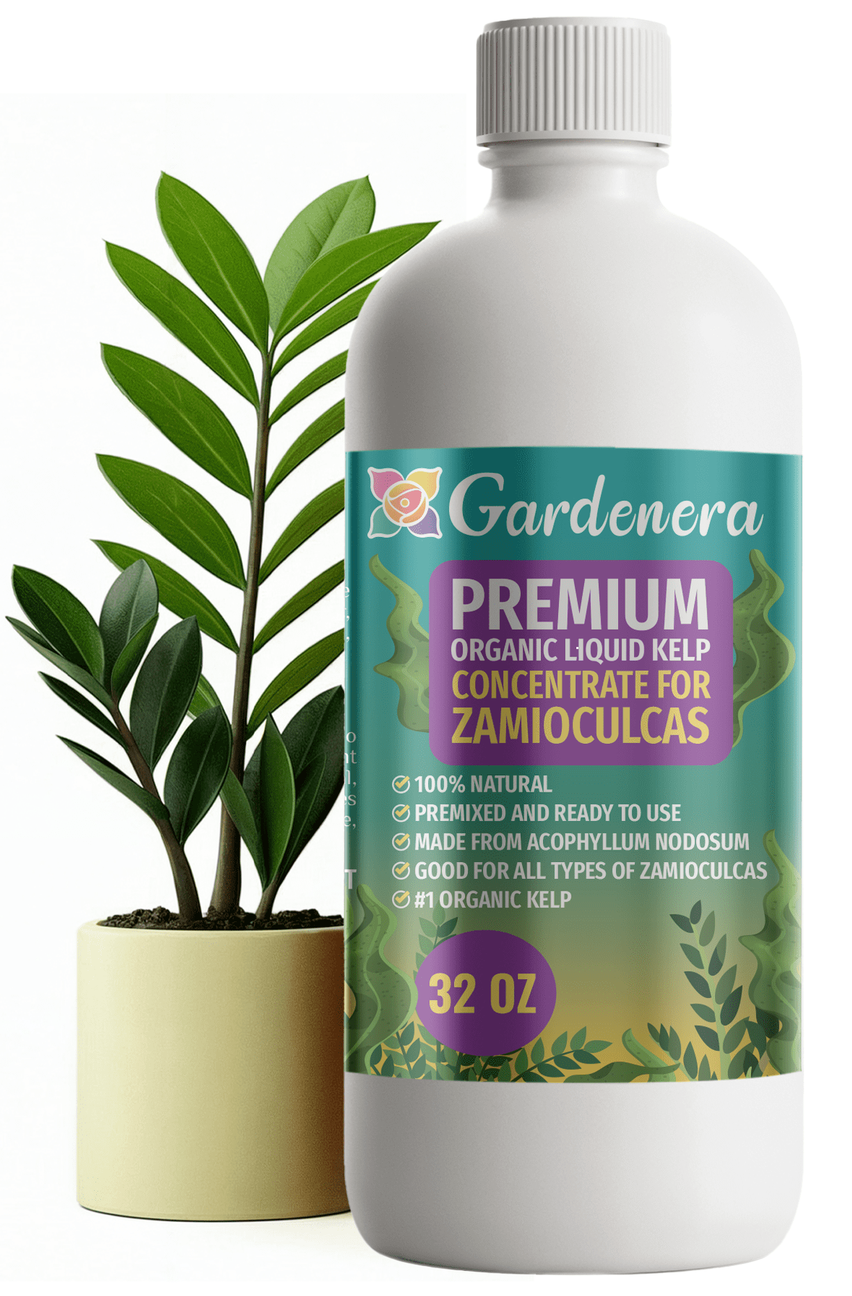 ⭐ GARDENERA Premium Organic Seaweed & Kelp Superfood for ZAMIOCULCAS Plants - 32 oz - Liquid Kelp Fertilizer Concentrate (Makes 180 Gallons)