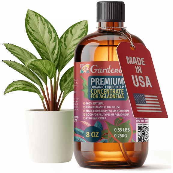 ⭐ GARDENERA Premium Organic Seaweed & Kelp Superfood for AGLAONEMA Plants - 8 oz - Liquid Kelp Fertilizer Concentrate (Makes 45 Gallons)