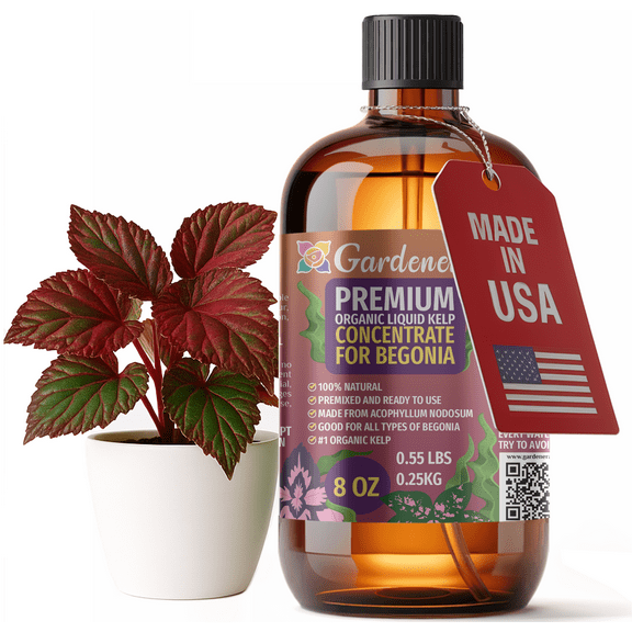 ⭐ GARDENERA Premium Organic Seaweed & Kelp Superfood for BEGONIA Plants - 8 oz - Liquid Kelp Fertilizer Concentrate (Makes 45 Gallons)