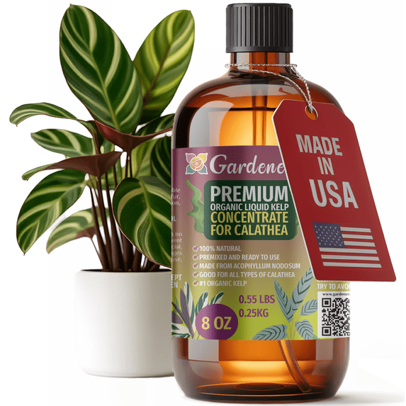 ⭐ GARDENERA Premium Organic Seaweed & Kelp Superfood for CALATHEA Plants - 8 oz - Liquid Kelp Fertilizer Concentrate (Makes 45 Gallons)