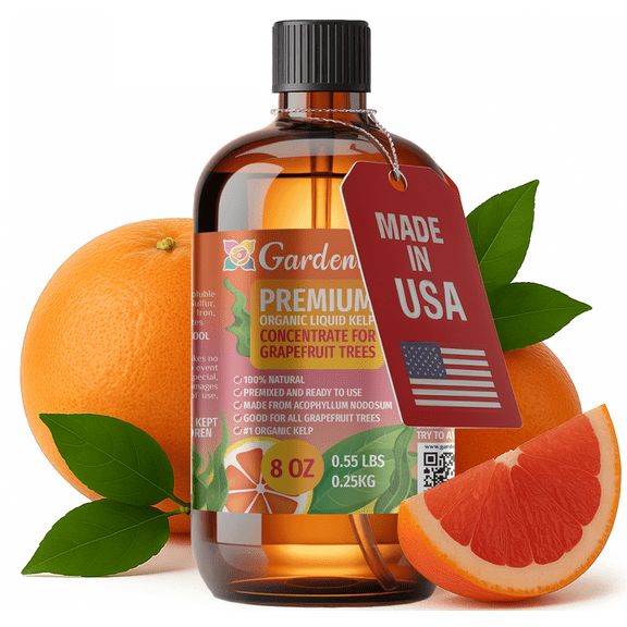 ⭐ GARDENERA Premium Organic Seaweed & Kelp Superfood for GRAPEFRUIT Plants - 8 oz - Liquid Kelp Fertilizer Concentrate (Makes 45 Gallons)