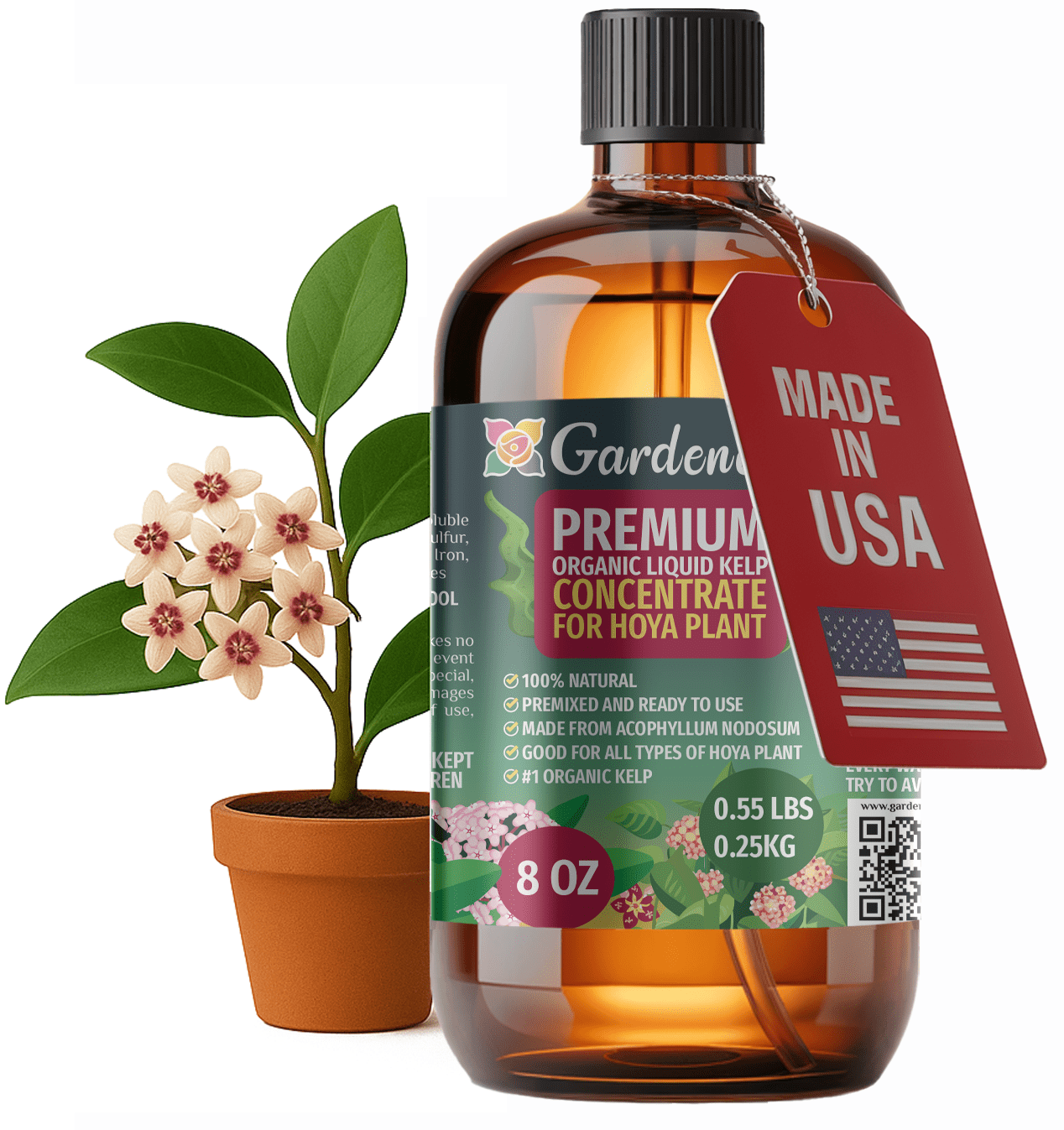 GARDENERA Premium Organic Seaweed & Kelp Superfood for HOYA Plants - 8 oz  - Liquid Kelp Fertilizer Concentrate (Makes 45 Gallons)