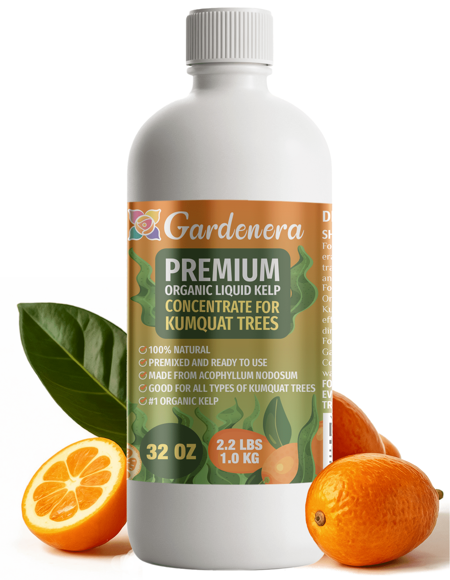 ⭐ GARDENERA Premium Organic Seaweed & Kelp Superfood for KUMQUAT Plants - 32 oz - Liquid Kelp Fertilizer Concentrate (Makes 180 Gallons)