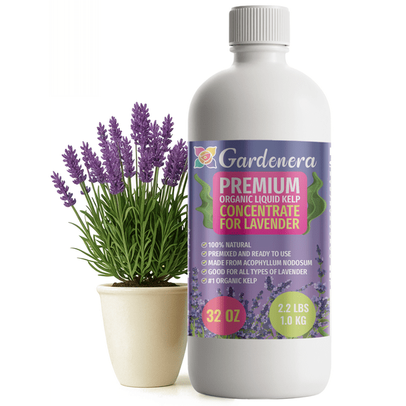 ⭐ GARDENERA Premium Organic Seaweed & Kelp Superfood for LAVENDER Plants - 32 oz - Liquid Kelp Fertilizer Concentrate (Makes 180 Gallons)
