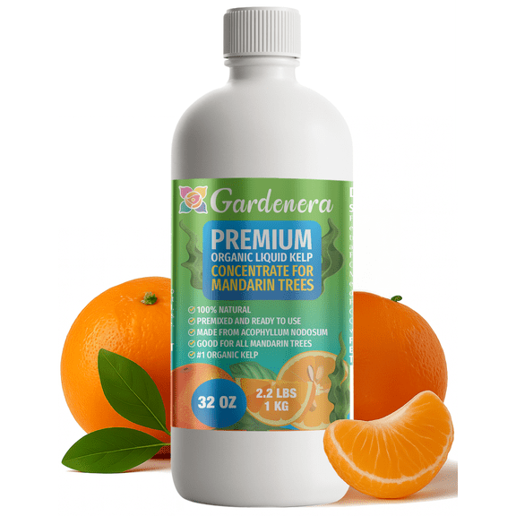 ⭐ GARDENERA Premium Organic Seaweed & Kelp Superfood for MANDARINE Plants - 32 oz - Liquid Kelp Fertilizer Concentrate (Makes 180 Gallons)