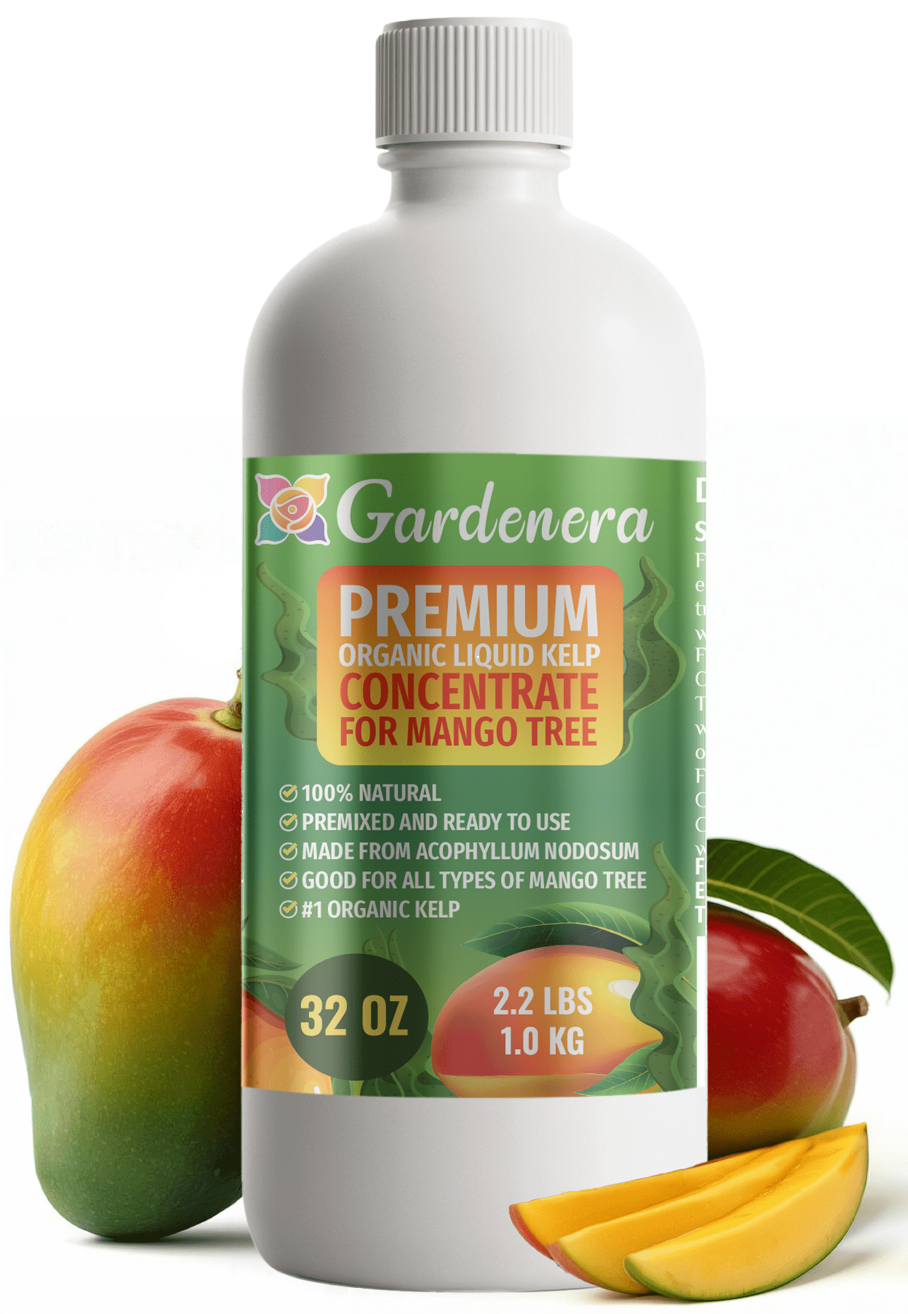 ⭐ GARDENERA Premium Organic Seaweed & Kelp Superfood for MANGO TREES Plants - 32 oz - Liquid Kelp Fertilizer Concentrate (Makes 180 Gallons)