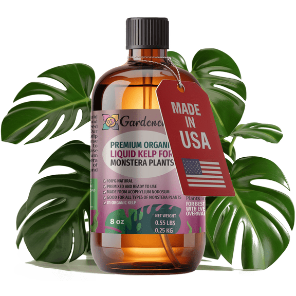 ⭐ GARDENERA Premium Organic Seaweed & Kelp Superfood for MONSTERA Plants - 8 oz - Liquid Kelp Fertilizer Concentrate (Makes 45 Gallons)