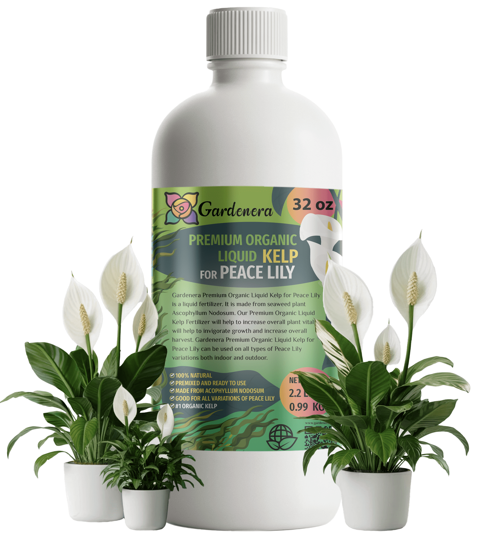 ⭐ GARDENERA Premium Organic Seaweed & Kelp Superfood for PEACE LILY Plants - 32 oz - Liquid Kelp Fertilizer Concentrate (Makes 180 Gallons)
