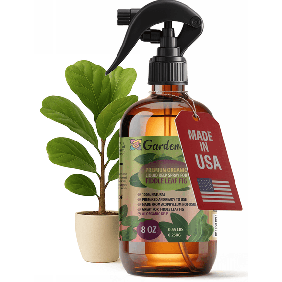 ⭐ 𝐁𝐄𝐒𝐓𝐒𝐄𝐋𝐋𝐄𝐑 GARDENERA Professional Organic Liquid Kelp Spray for FIDDLE LEAF FIG Plants - 8 oz - Ready-To-Use Fully Organic Seaweed & Kelp Fertilizer Mist