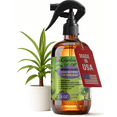 thumbnail image 1 of ⭐ GARDENERA Professional Organic Liquid Kelp Spray for DRACAENA Plants - 8 oz - Ready-To-Use Fully Organic Seaweed & Kelp Fertilizer Mist, 1 of 7